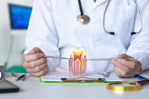 Best Emergency Dental Care for Broken or Chipped Teeth in Leonia, NJ
